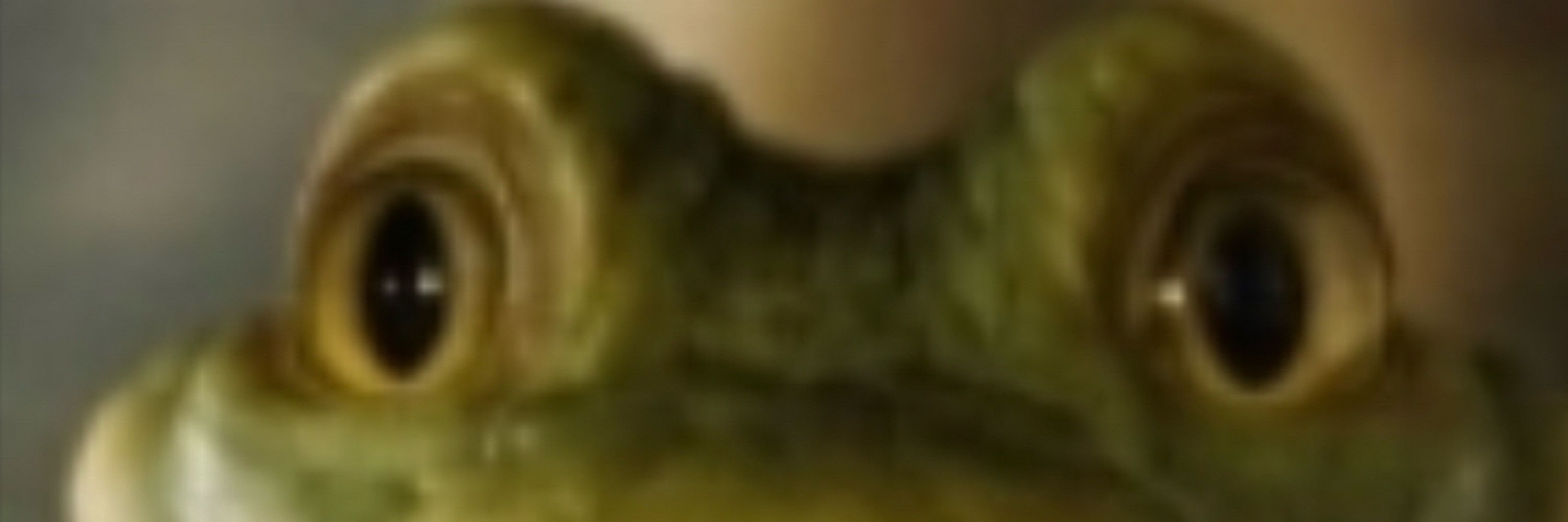 Unoimia