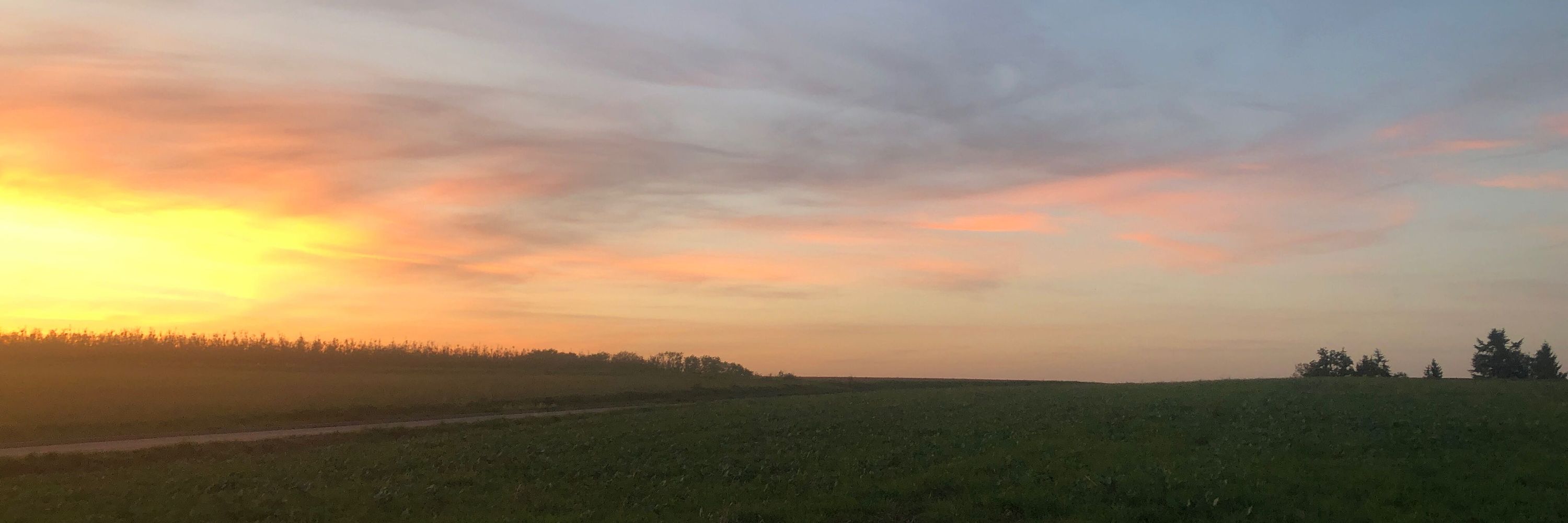 Steingesicht 