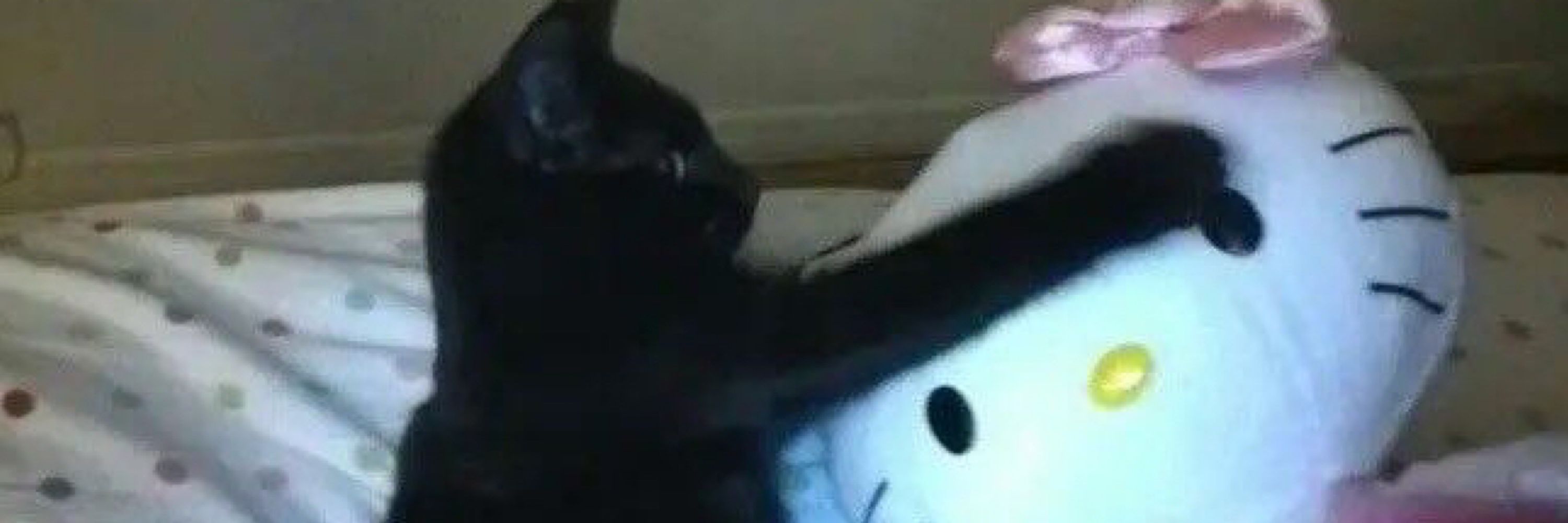Bem bubu