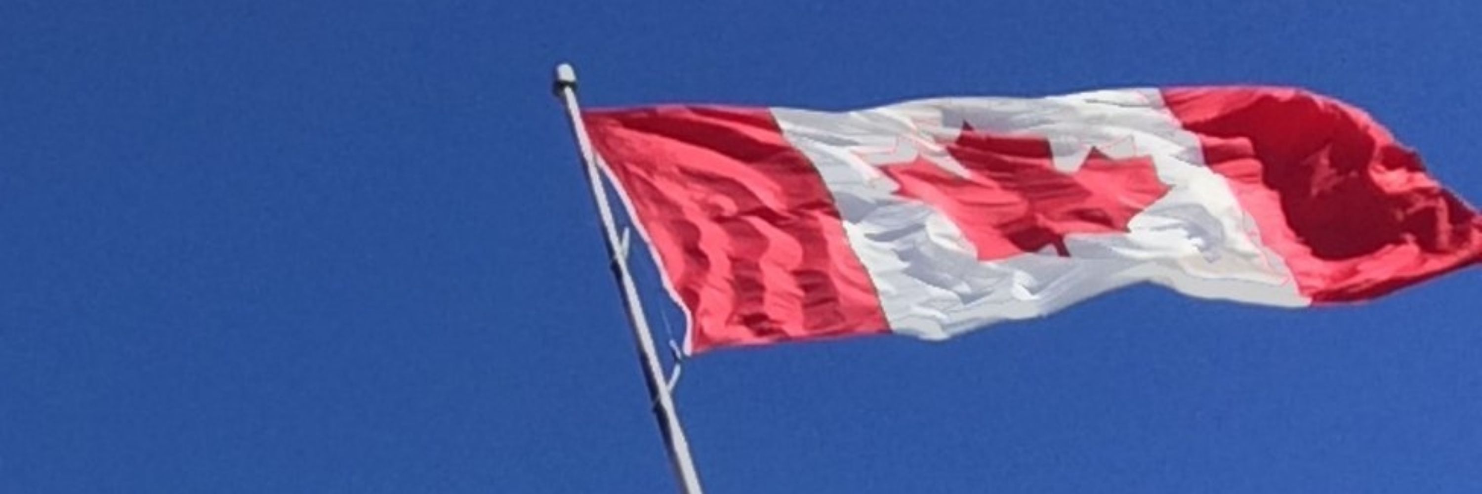 🇨🇦 Peter G Mitchell 😎