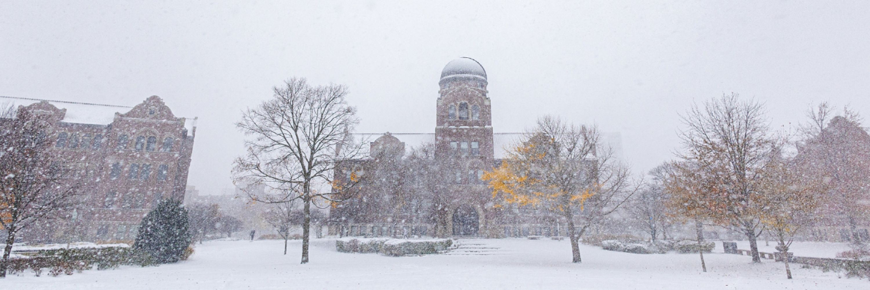 Loyola University Chicago Alumni