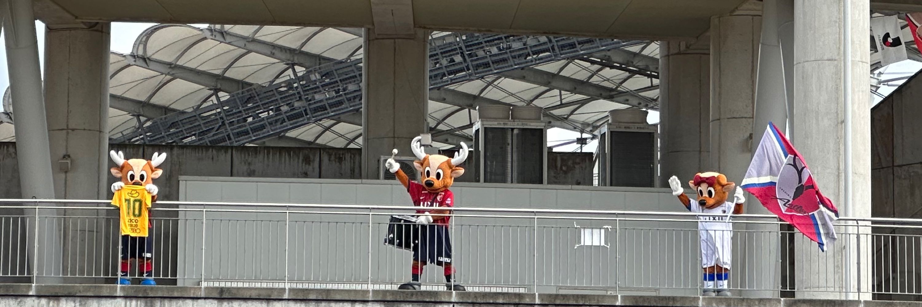 つっきー🦌