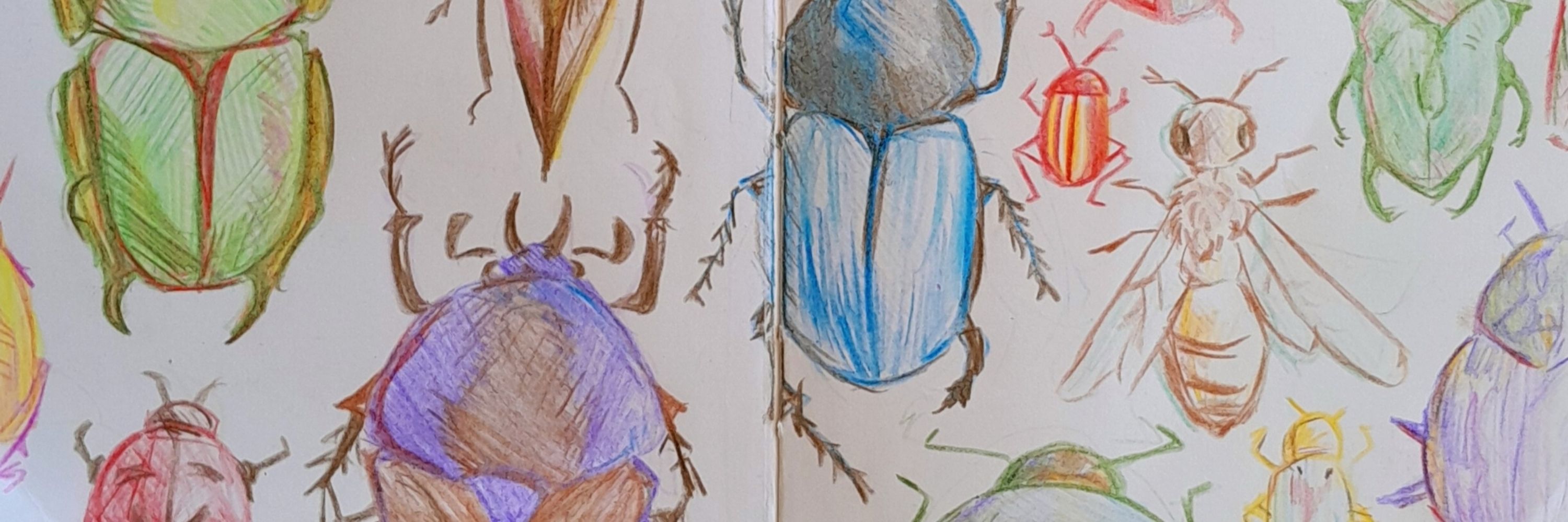 Z3RO✰ ( sketch book pages)