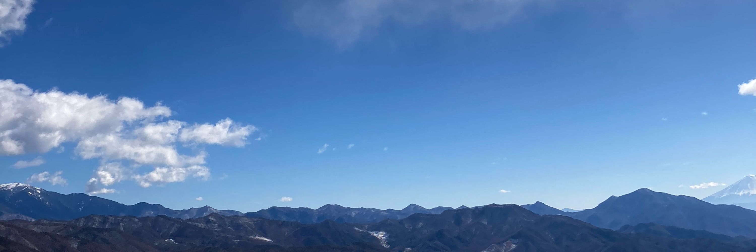 中村知世