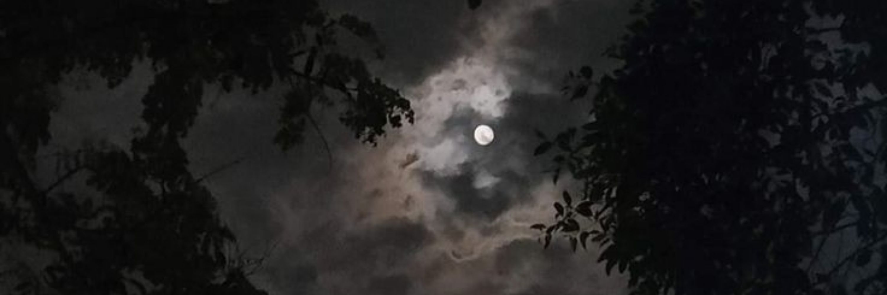 Bruja 
