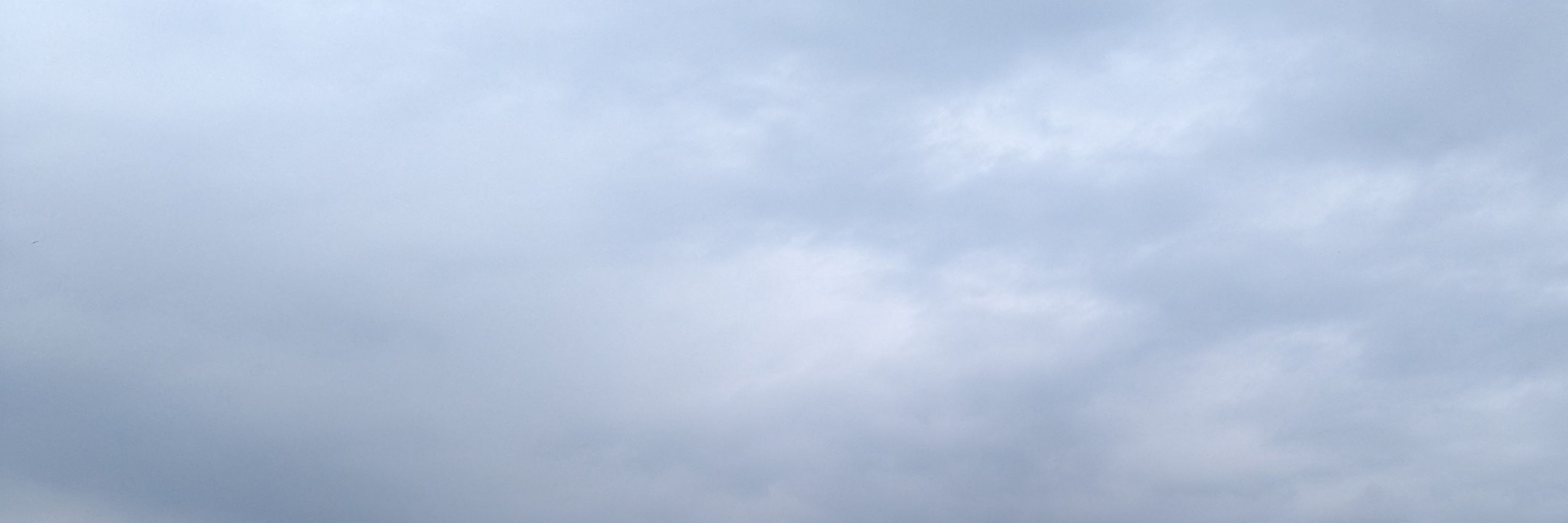 ひさぎ