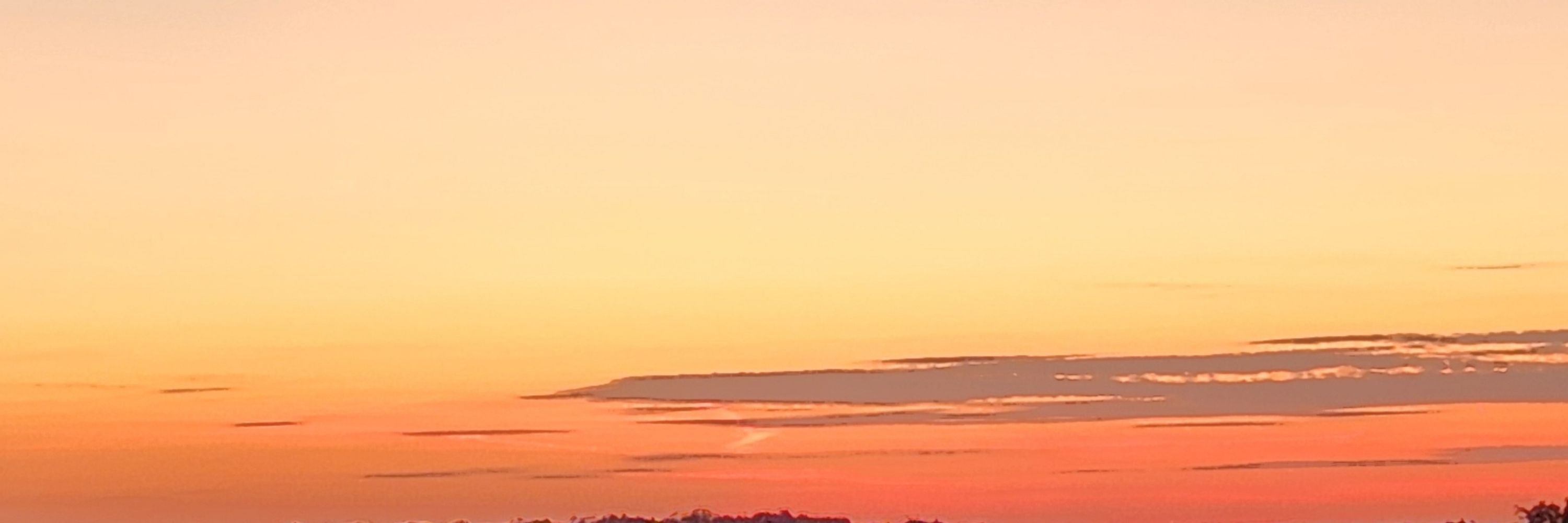 The ARC