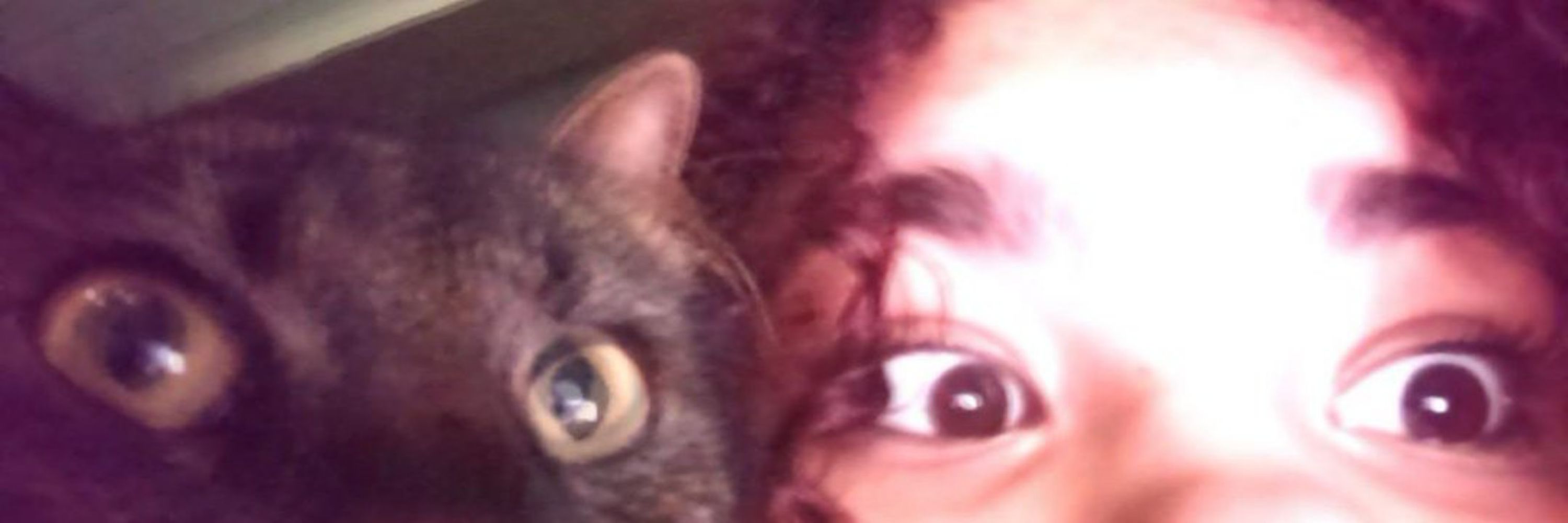e'loá ★