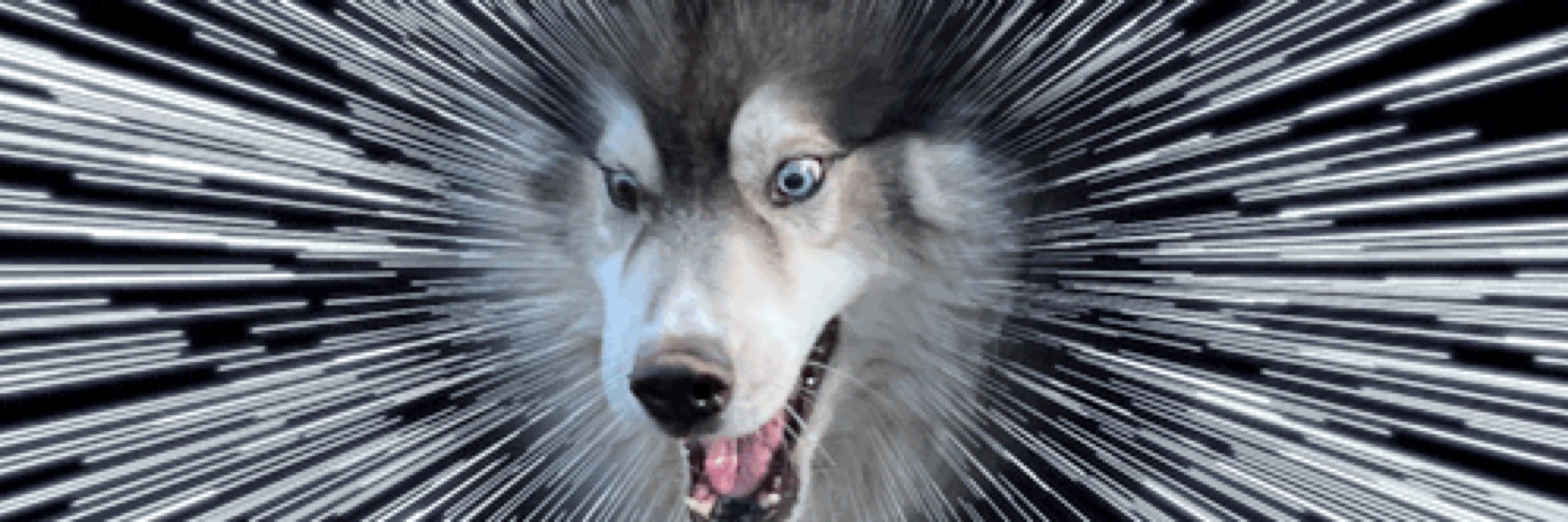 kira
