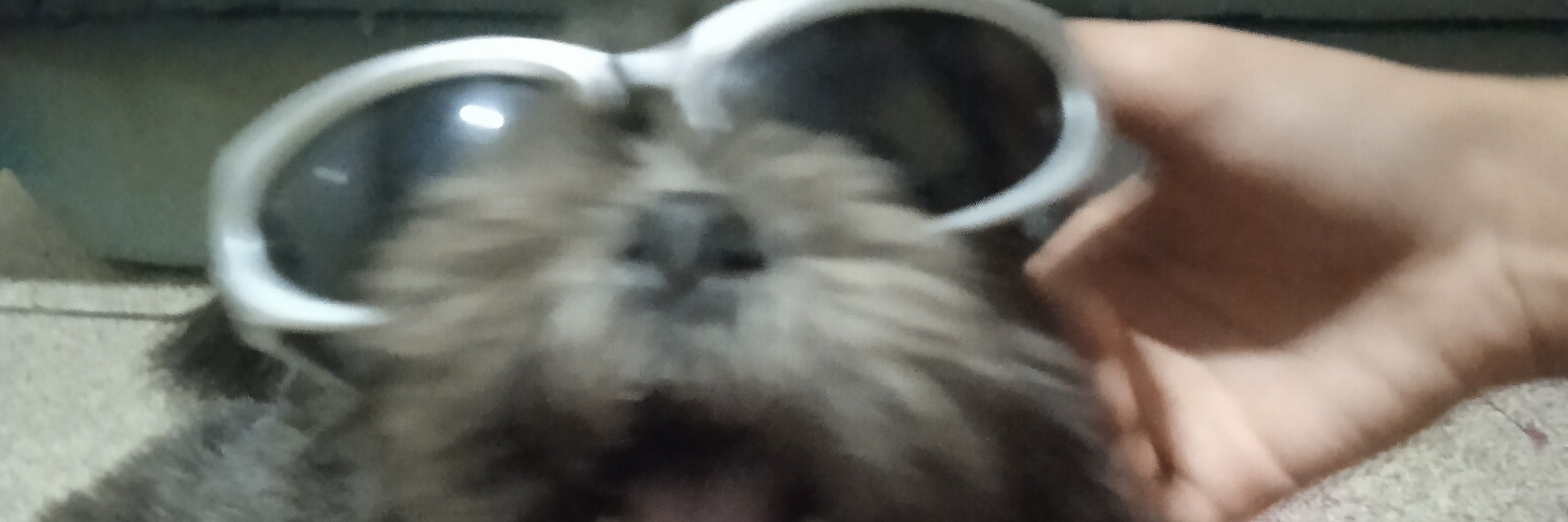 ZinhA