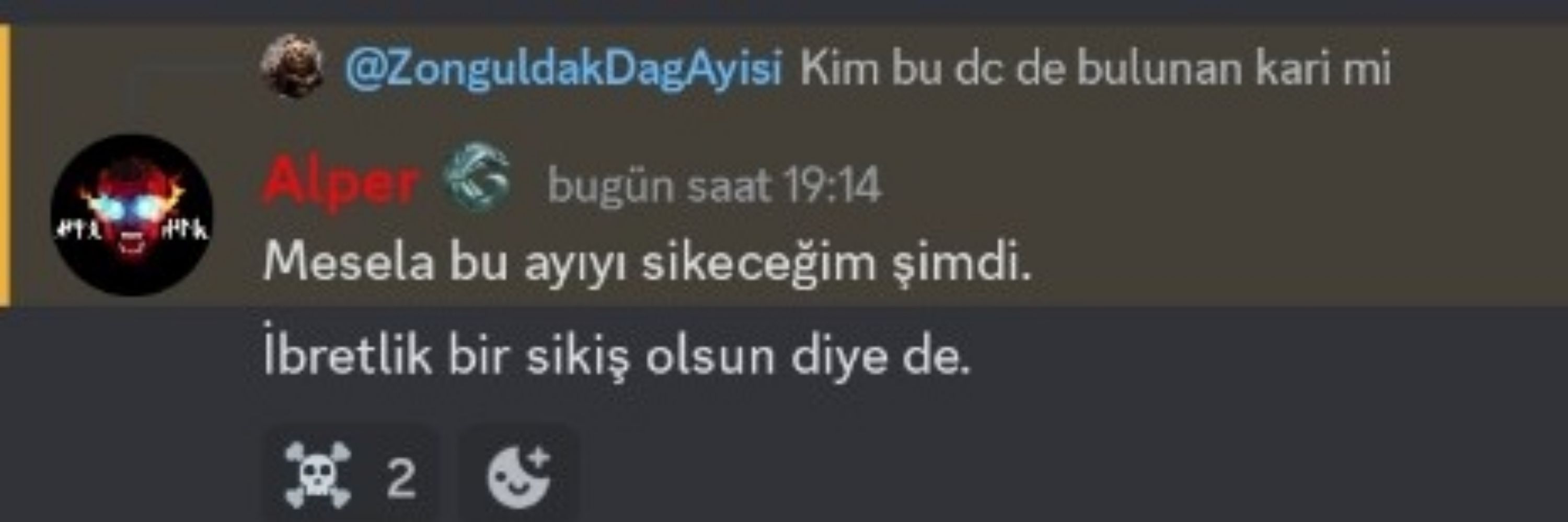Zonguldak Dağ Ayısı