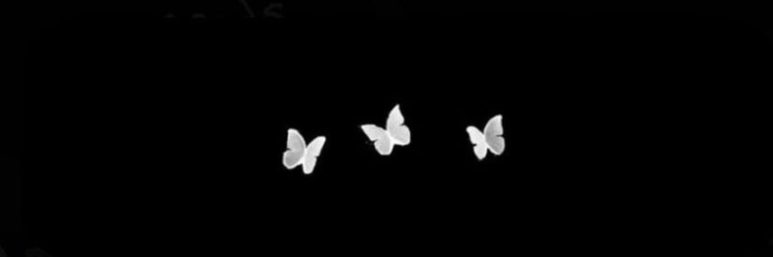 June 🦇