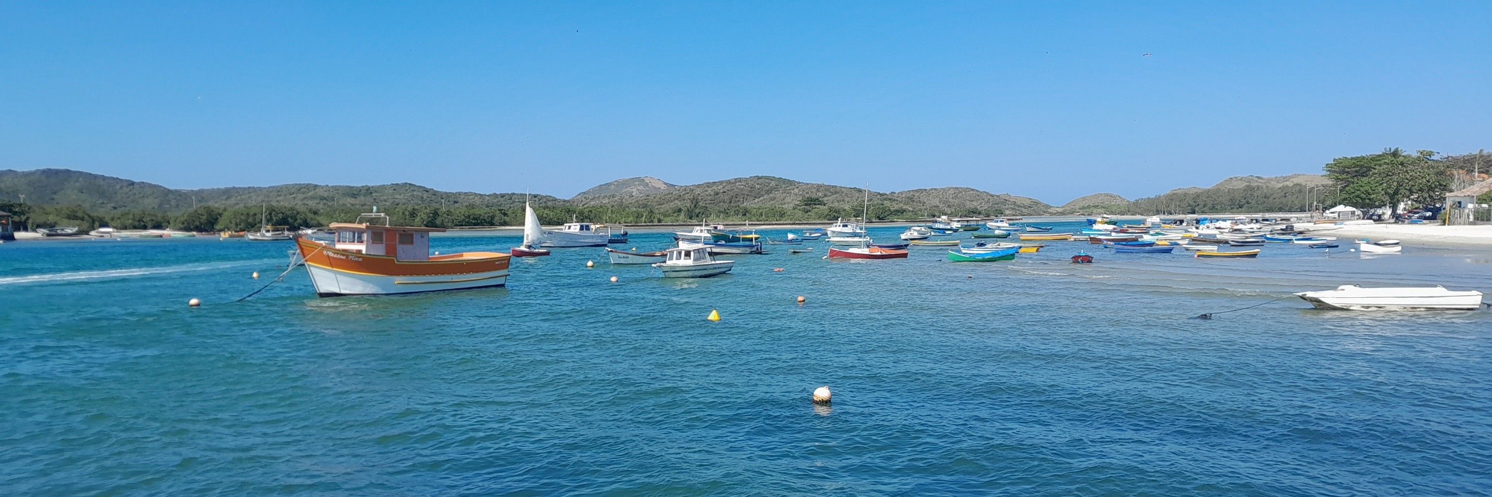 Lívia 