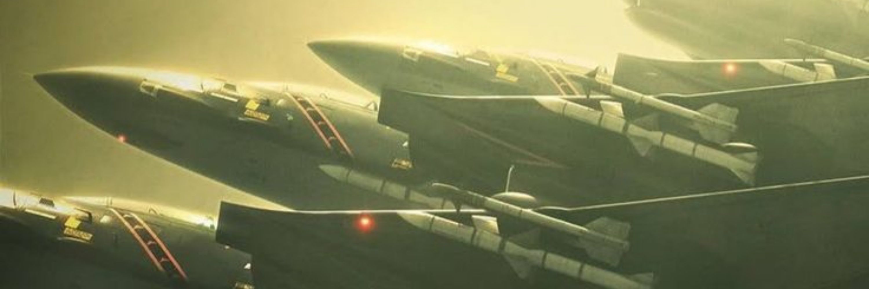 Ace Combat Fan - Cheets