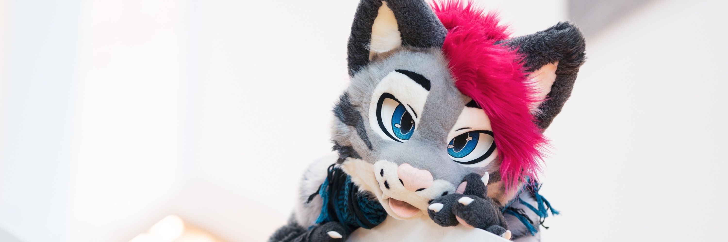Soju cat 🍉 NFC, FE