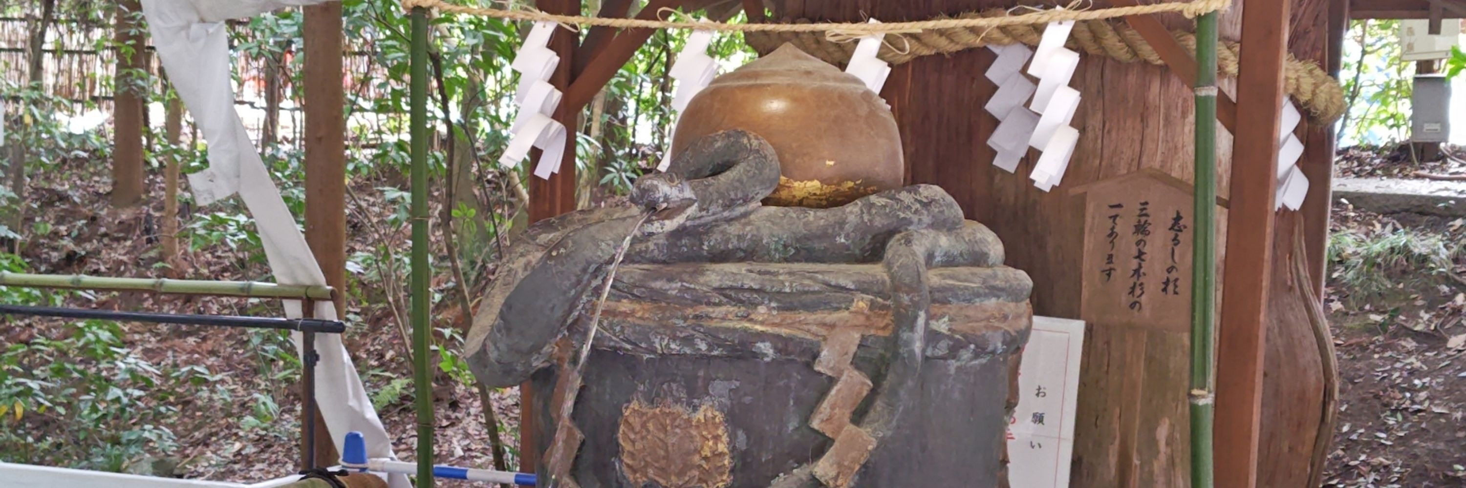 由茄