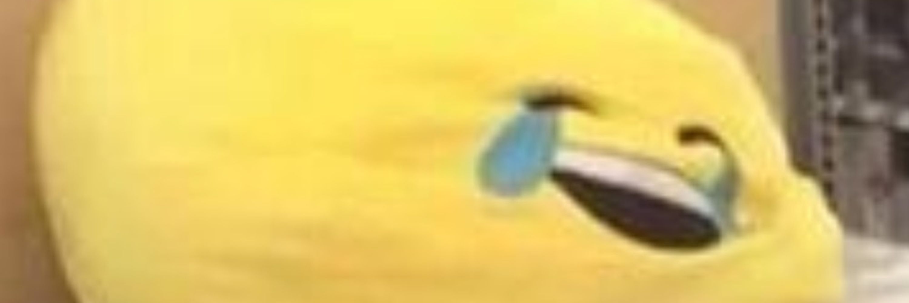 Brad (Fudj)
