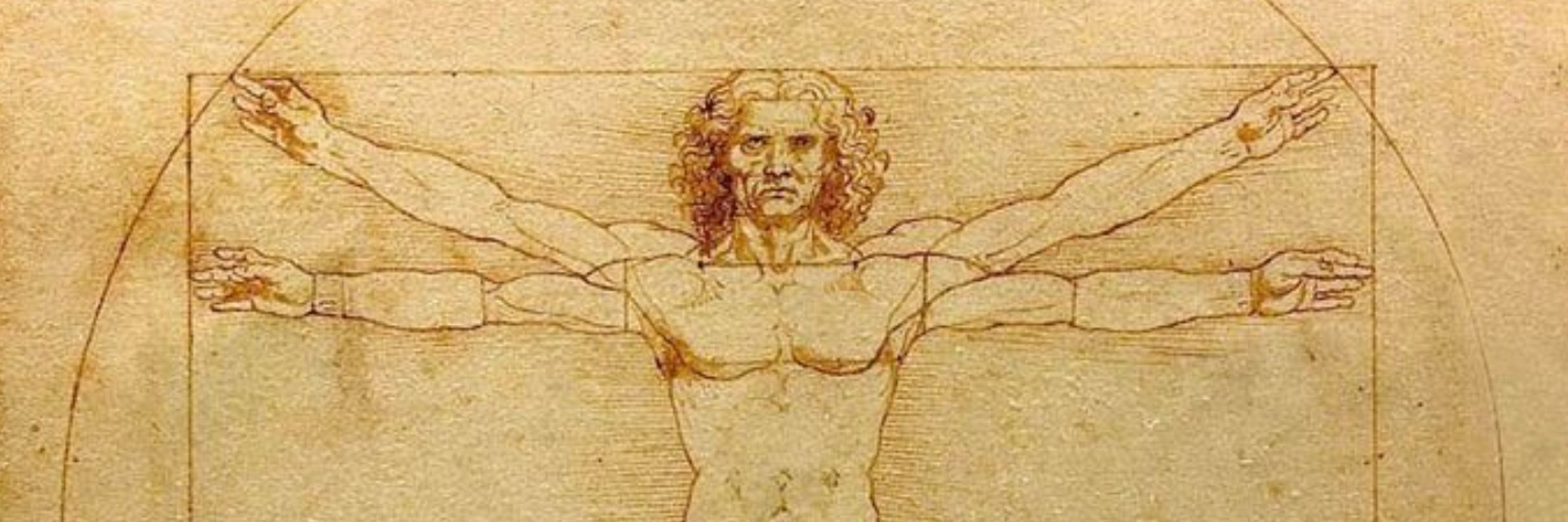 maestro da vinci (new acc)