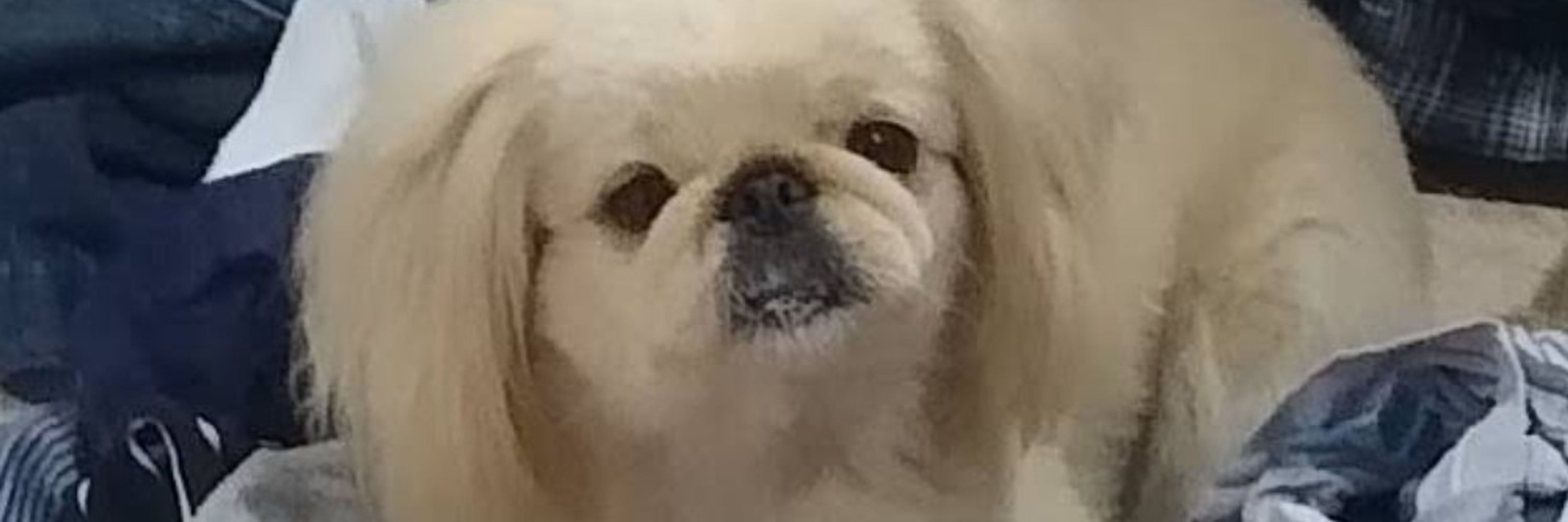 Ethyïos