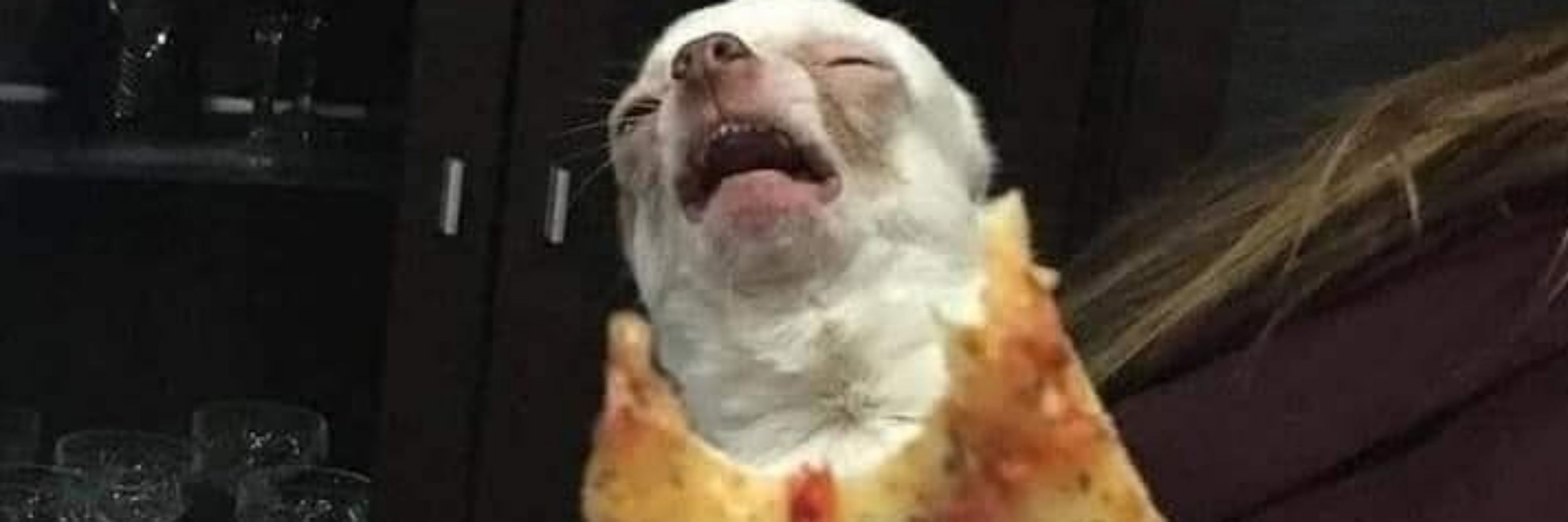 Eike