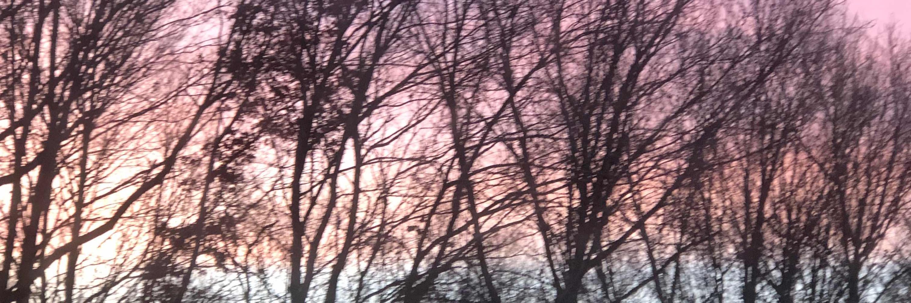 Gael’s BlueSky and RedWolf