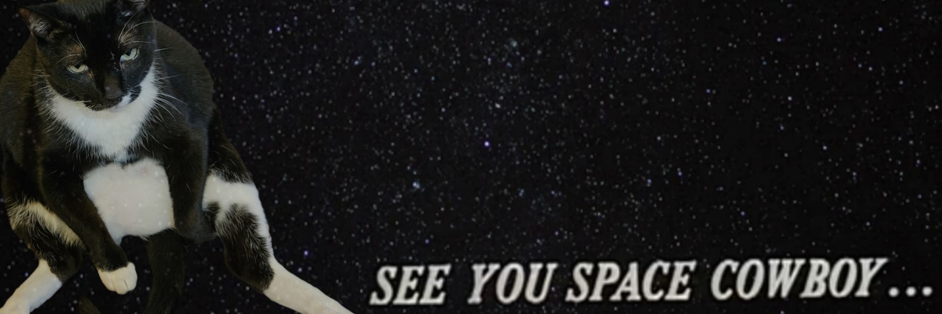 𝖂𝖎𝖑𝖑𝖔𝖜