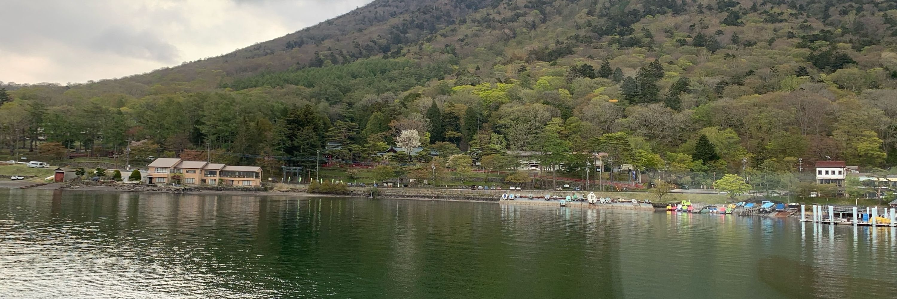 amato