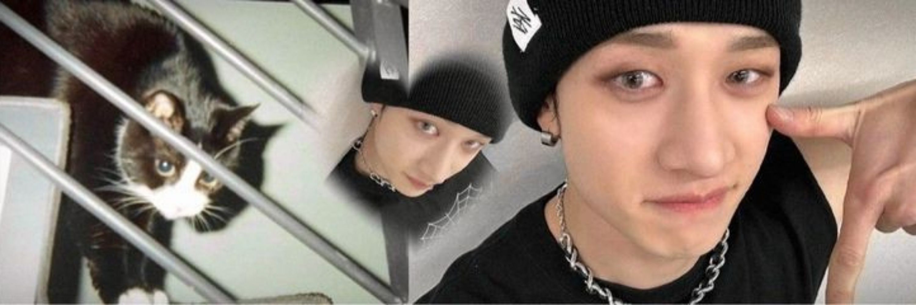 ⚞𝐊𝐢𝐭𝐭𝐲⚟ || Bang chan's gf 