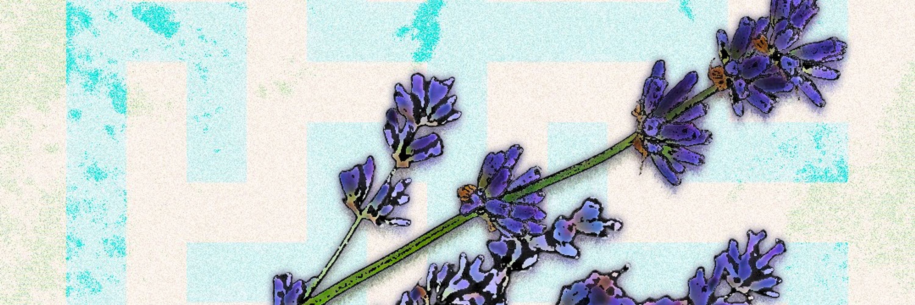 Embrosia 🌵