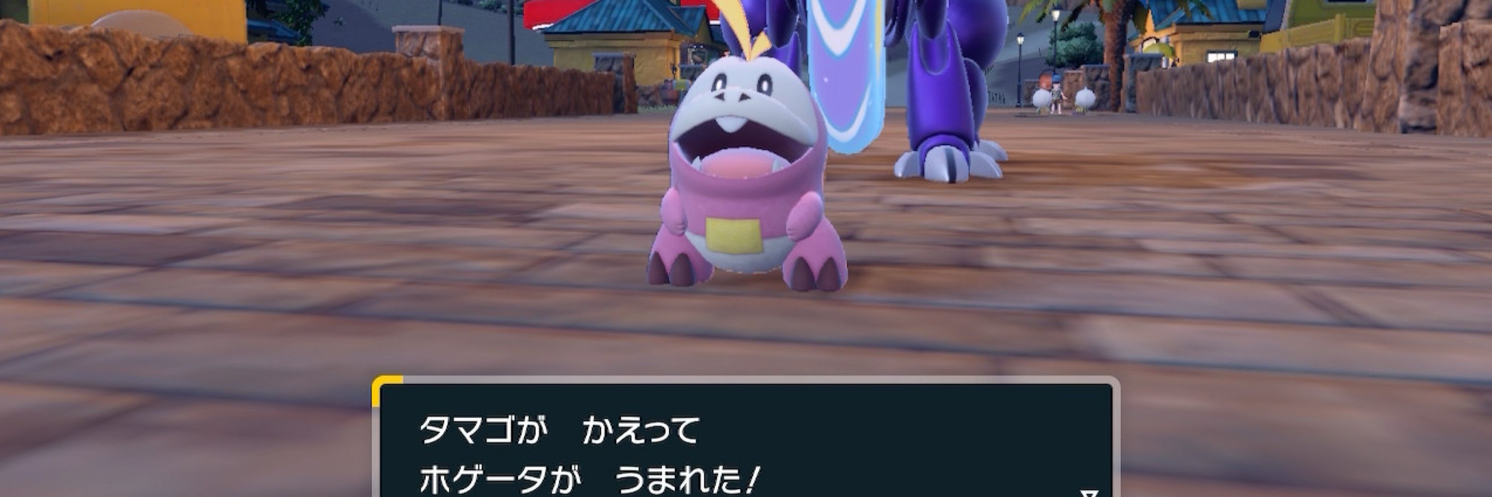 ゆーたん