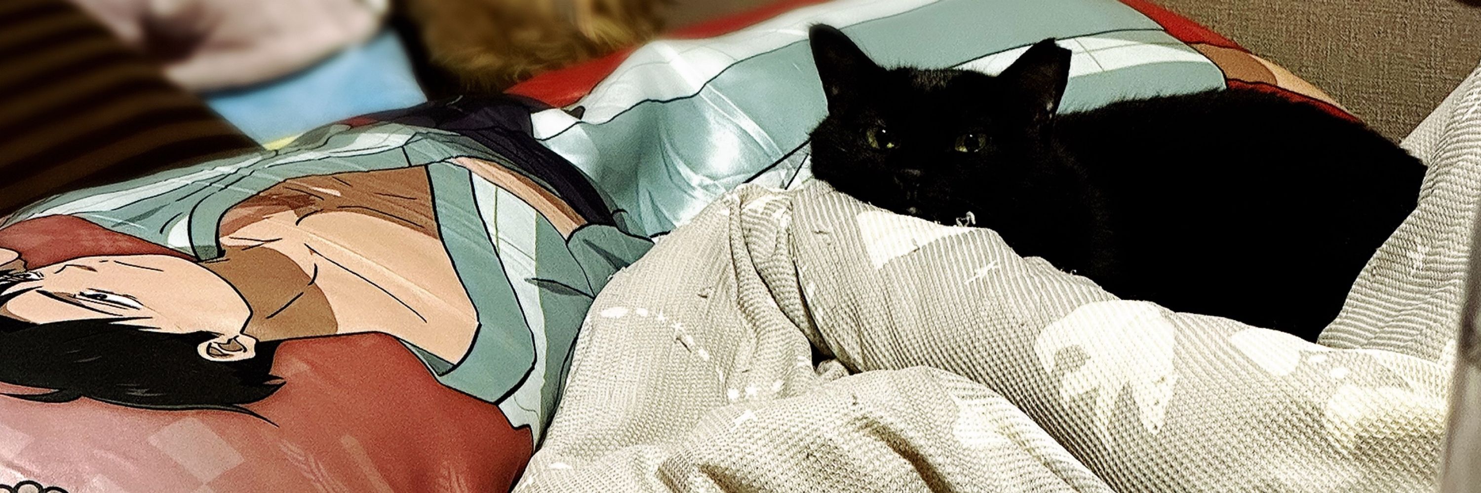 E子🐈‍⬛