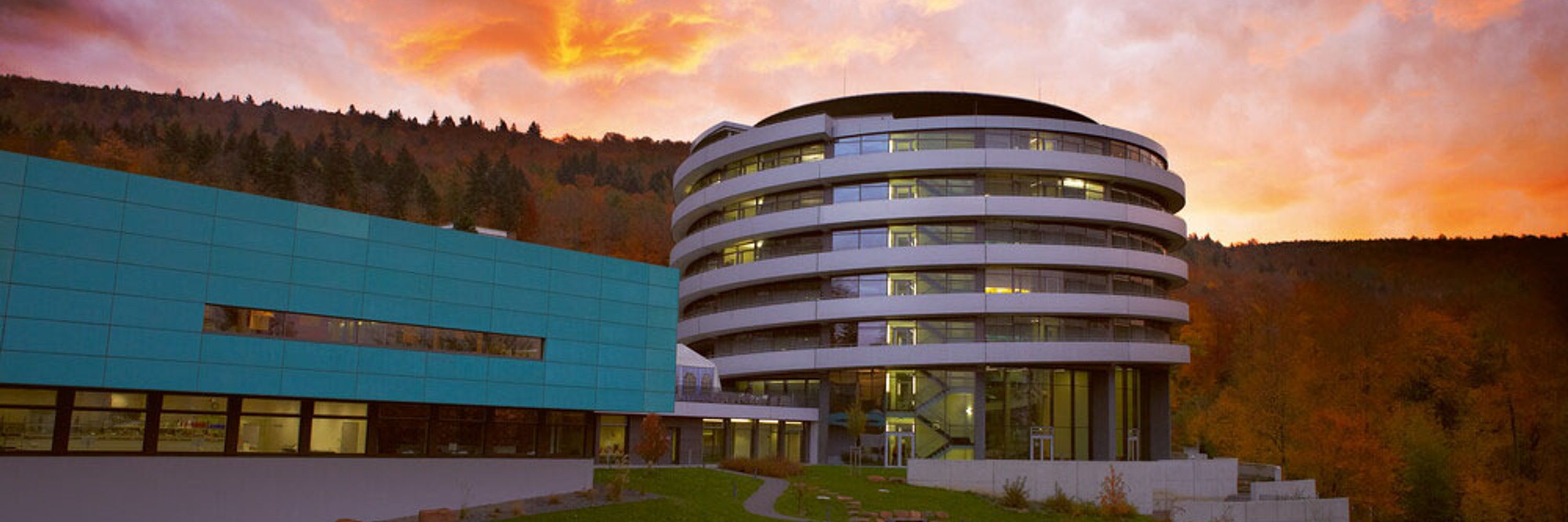 Savitski Lab