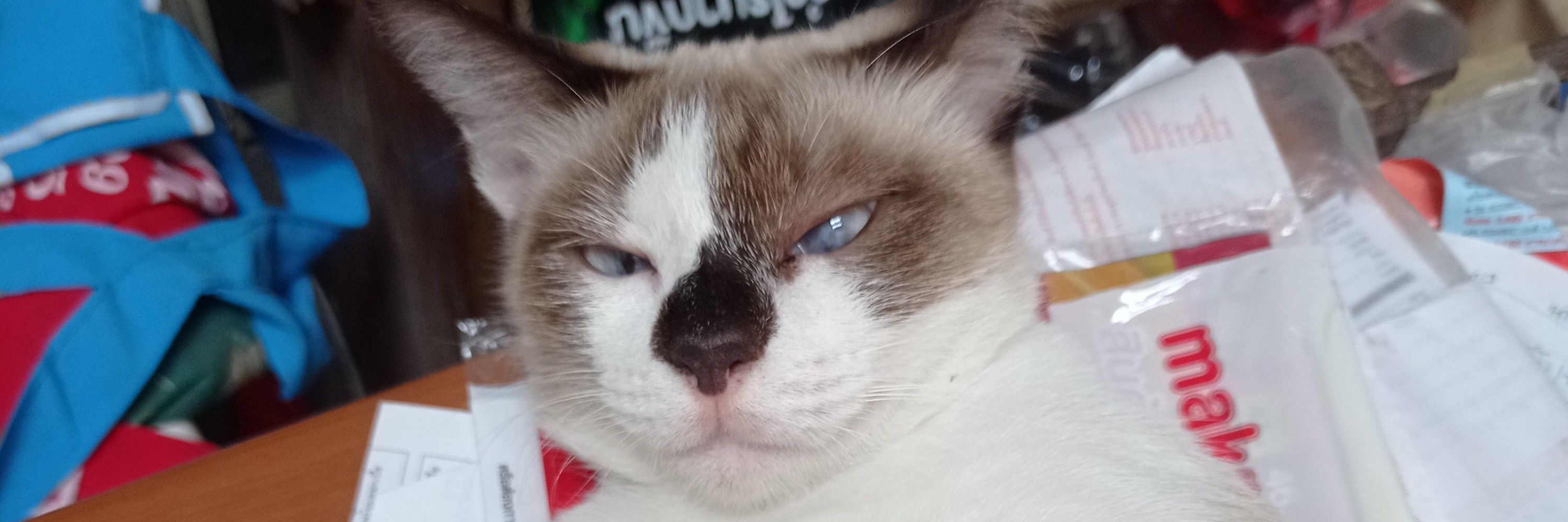 LaZyphie._.