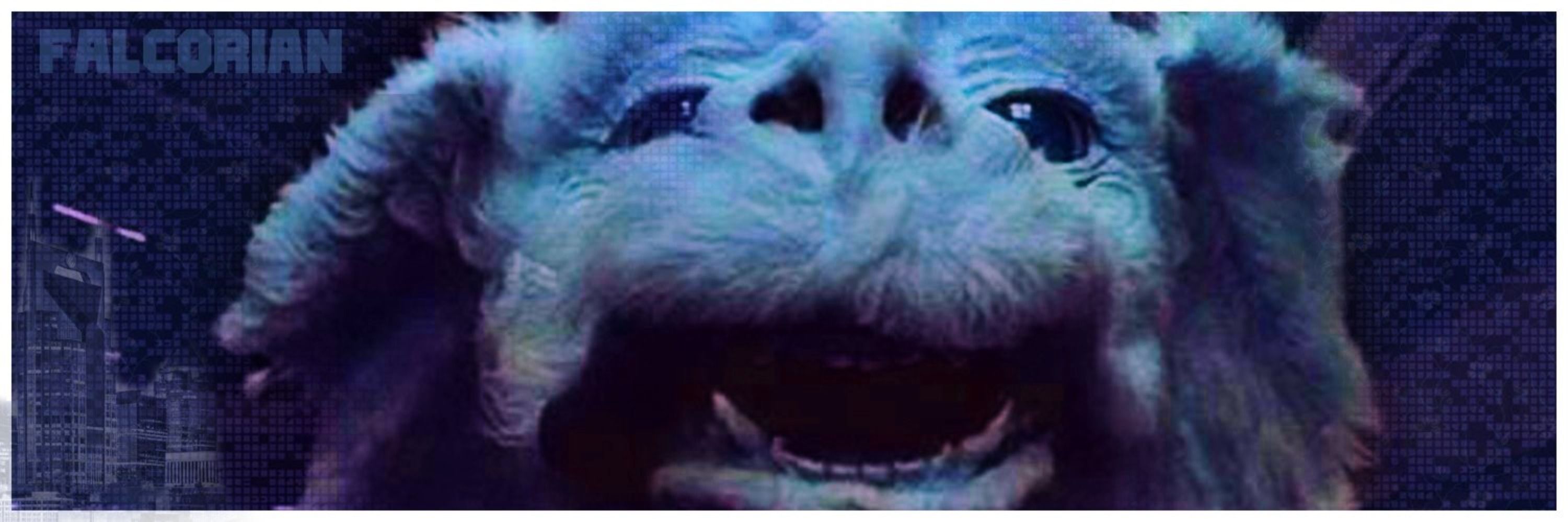 𝔽ꋬ꒒ꉔꄲꋪ꒐ꋬꋊ 🆓 🗸