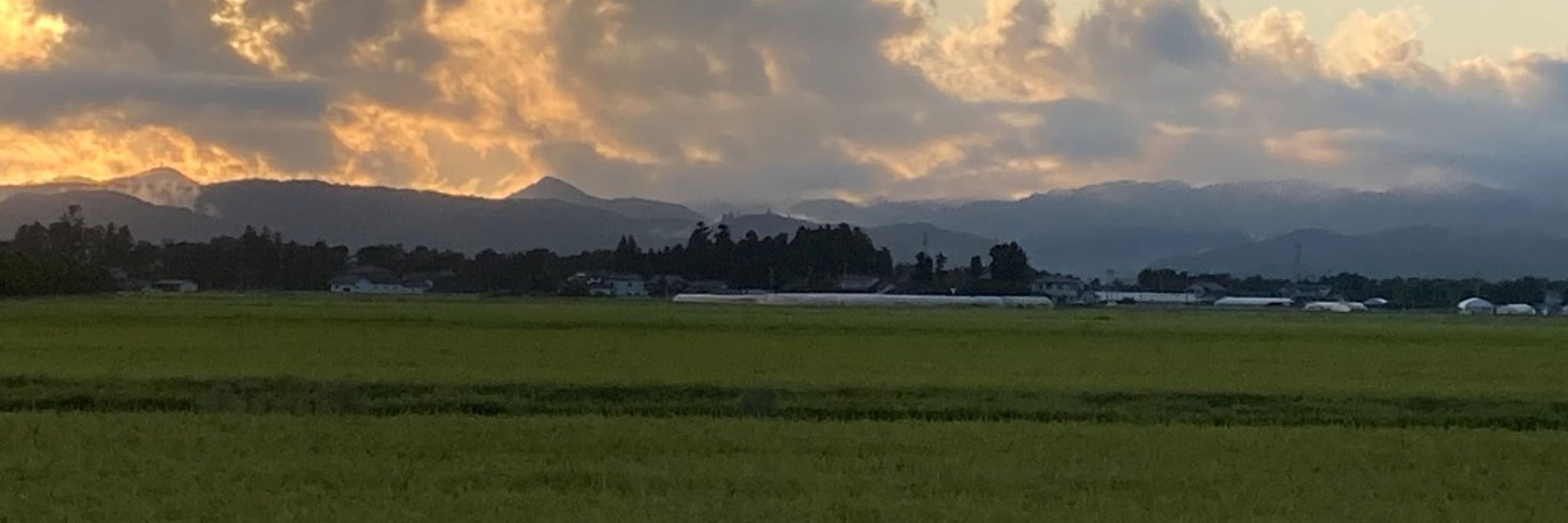 蒼山とうま