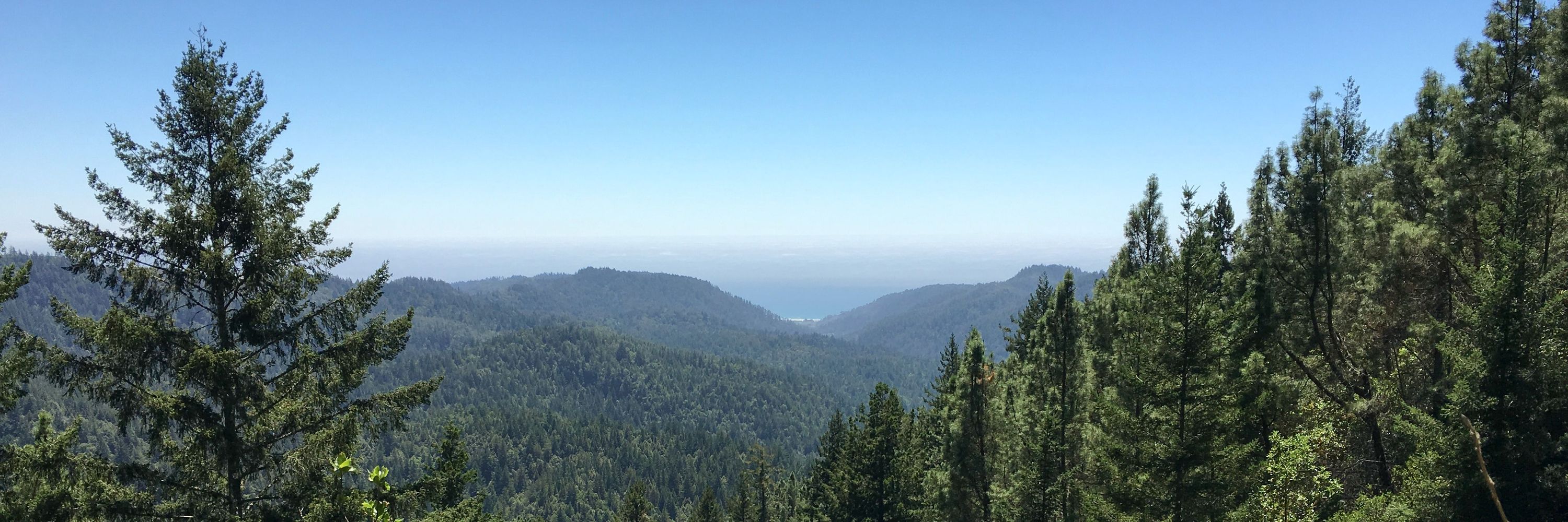 Sempervirens Fund