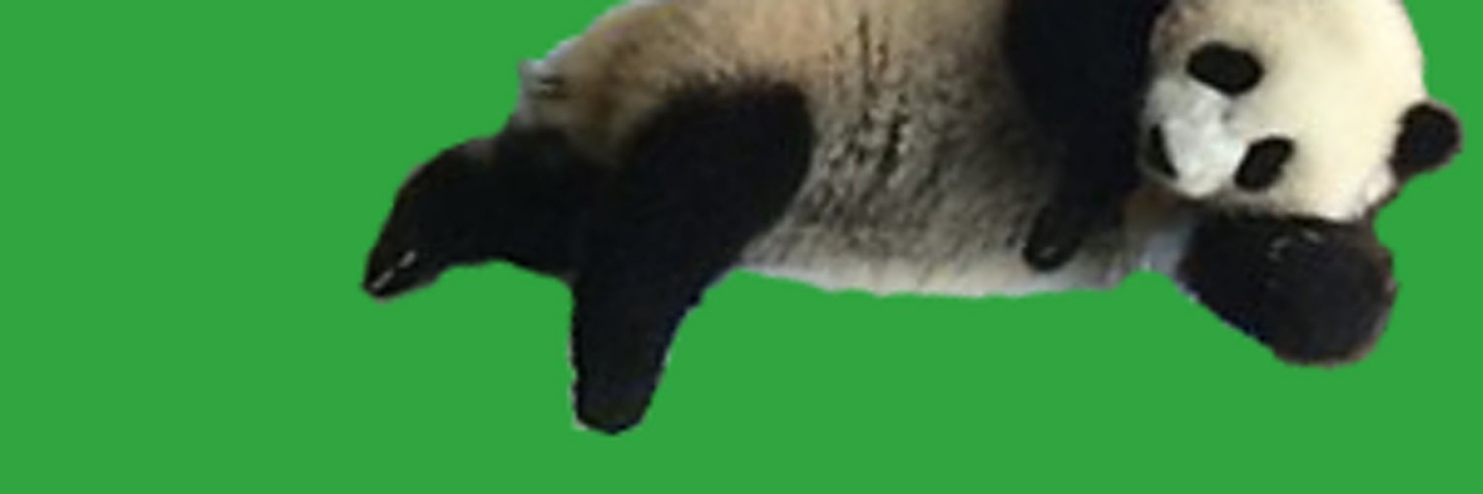 のぺ