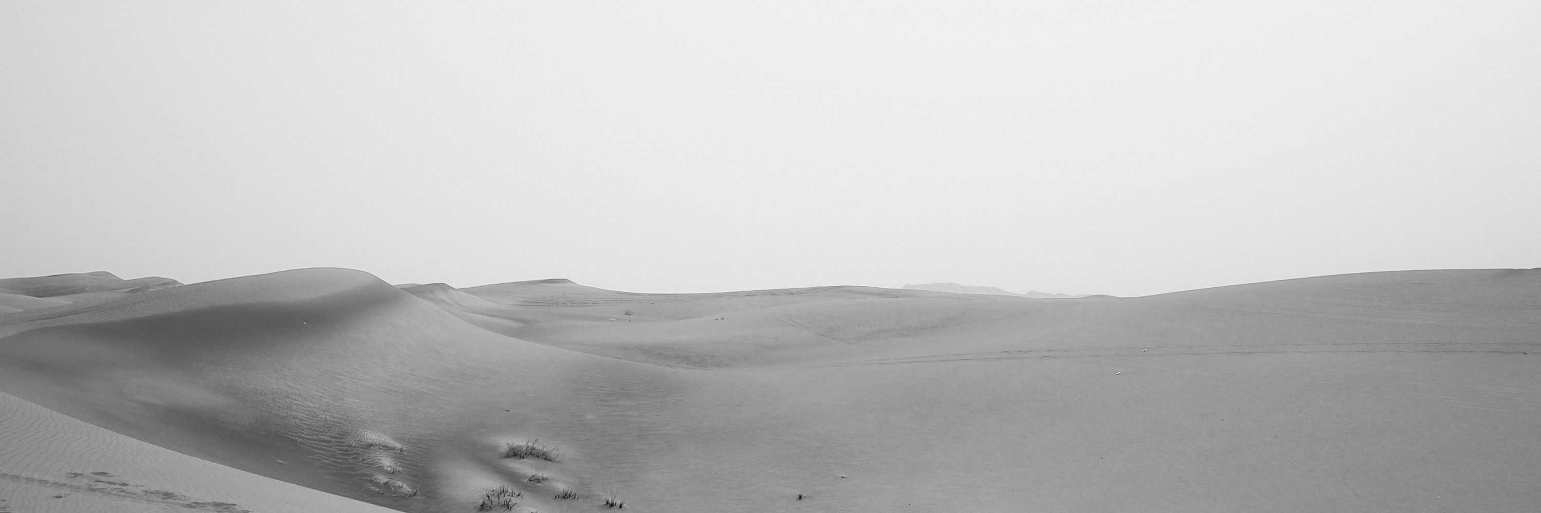 fog