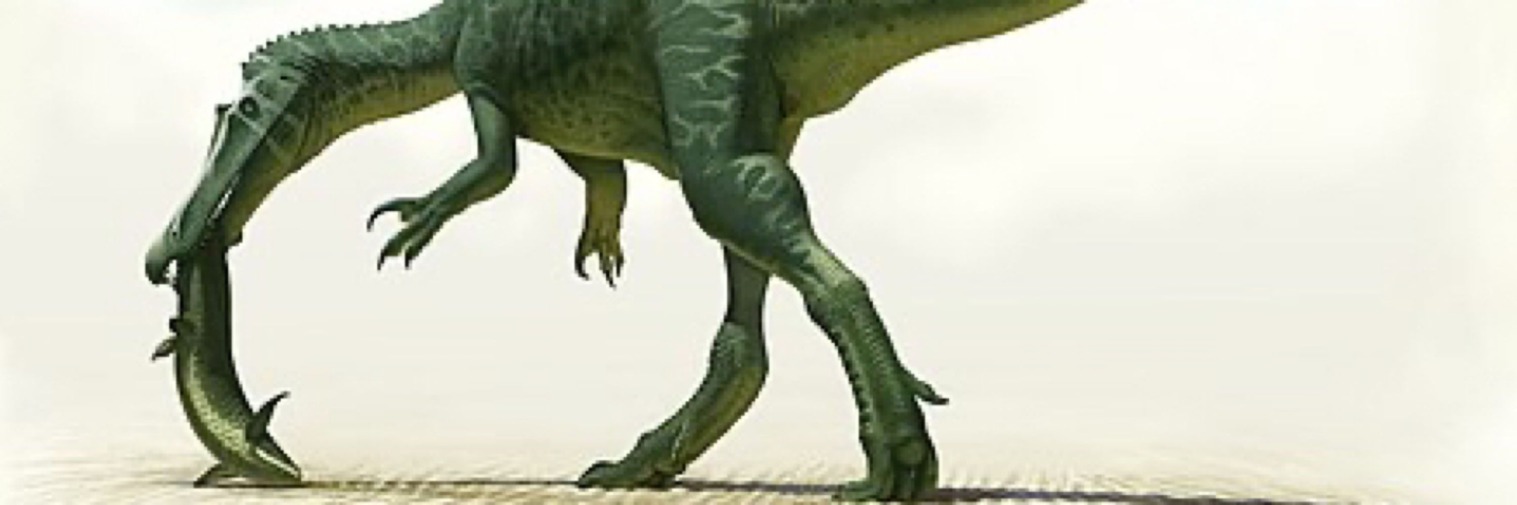 Baryonyx_walkeri