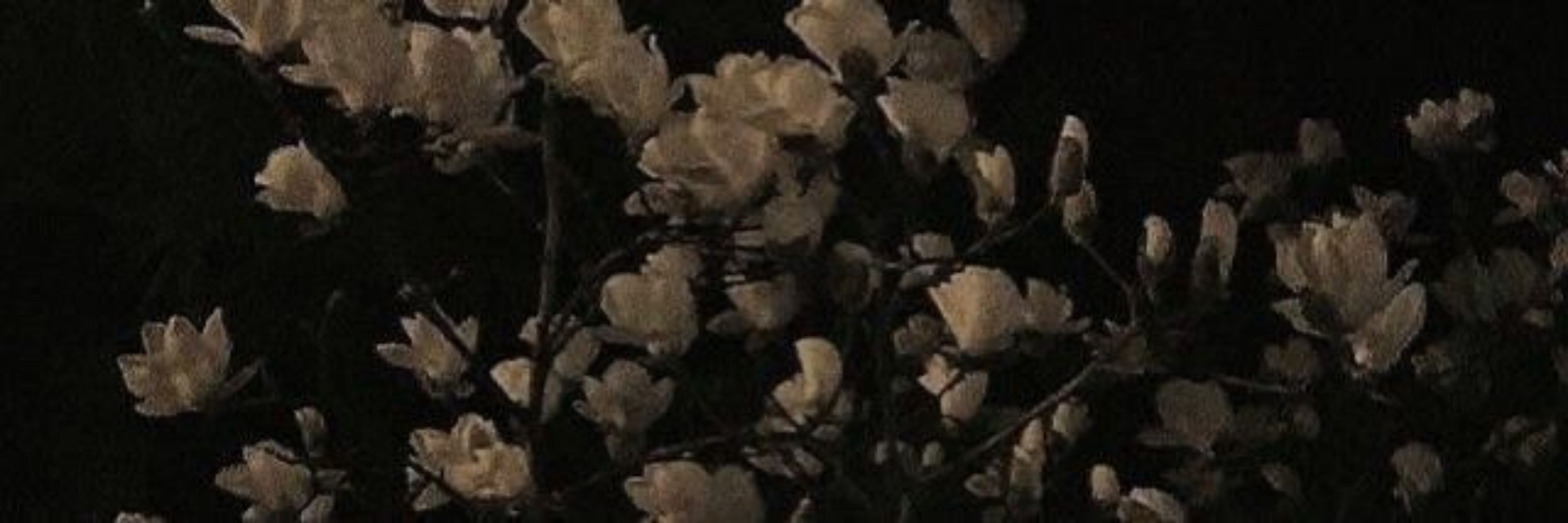 𖥔 ݁  𝐑𝐨𝐧𝐧𝐢𝐞 ⁷ 라니 ⋆☾ ₊