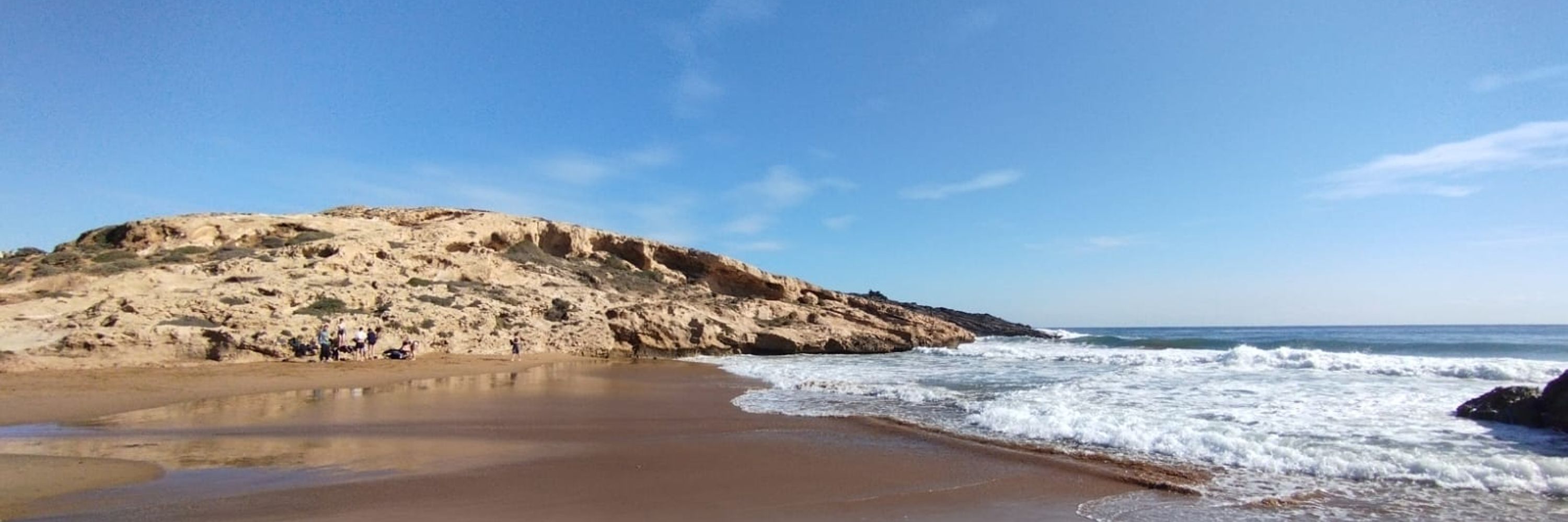 Un simio averiado de nombre Jordi Florensa
