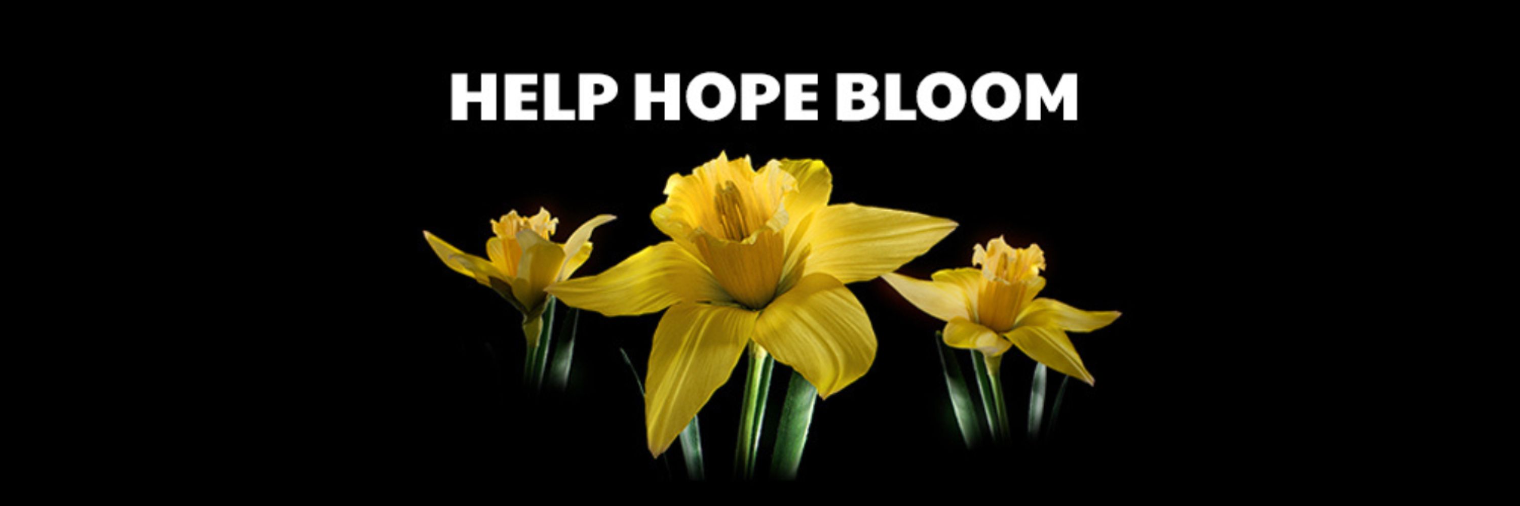 Canadian Cancer Society