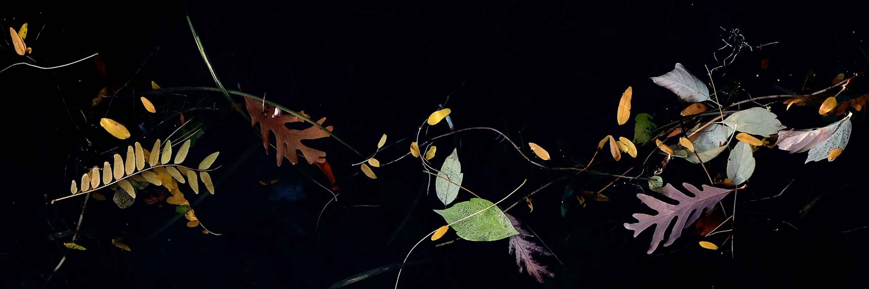 John Hart