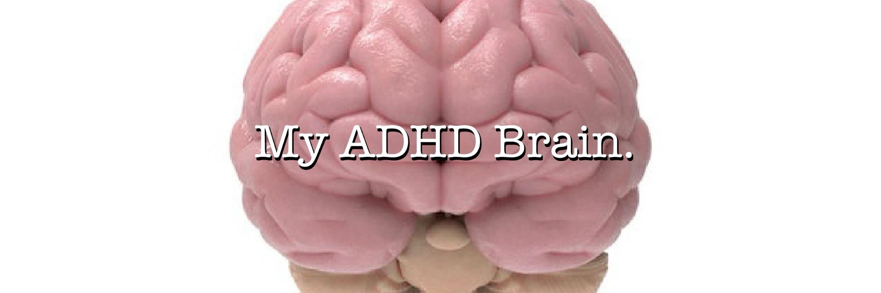 My ADHD Brain