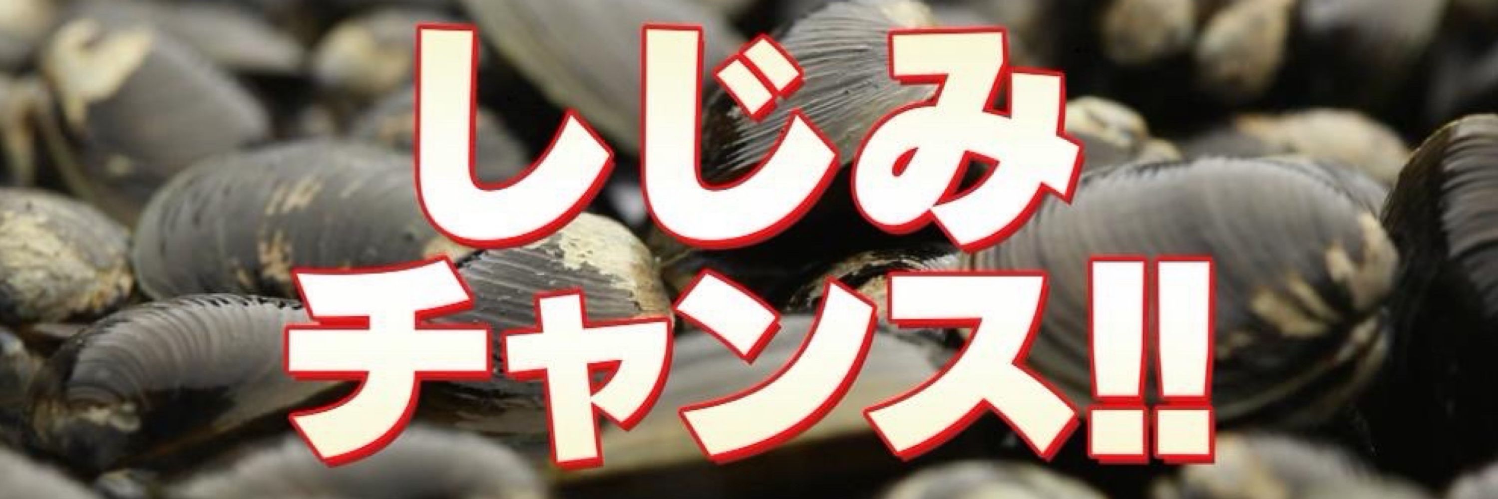 白髪ネギ