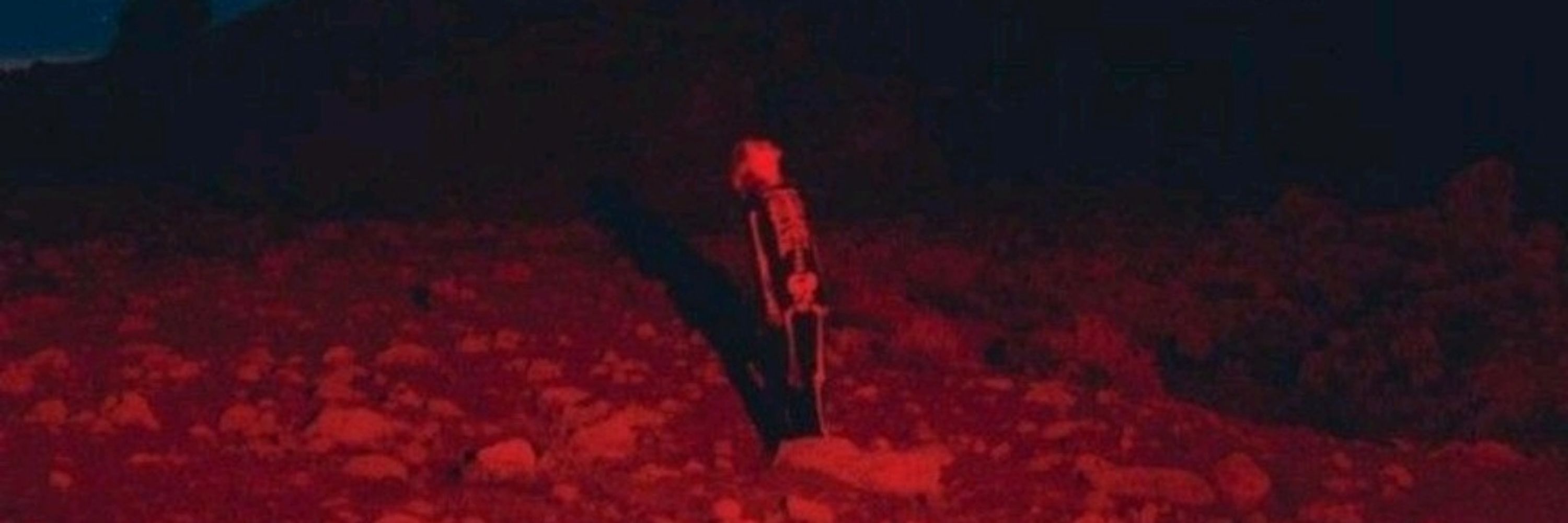 nopking_