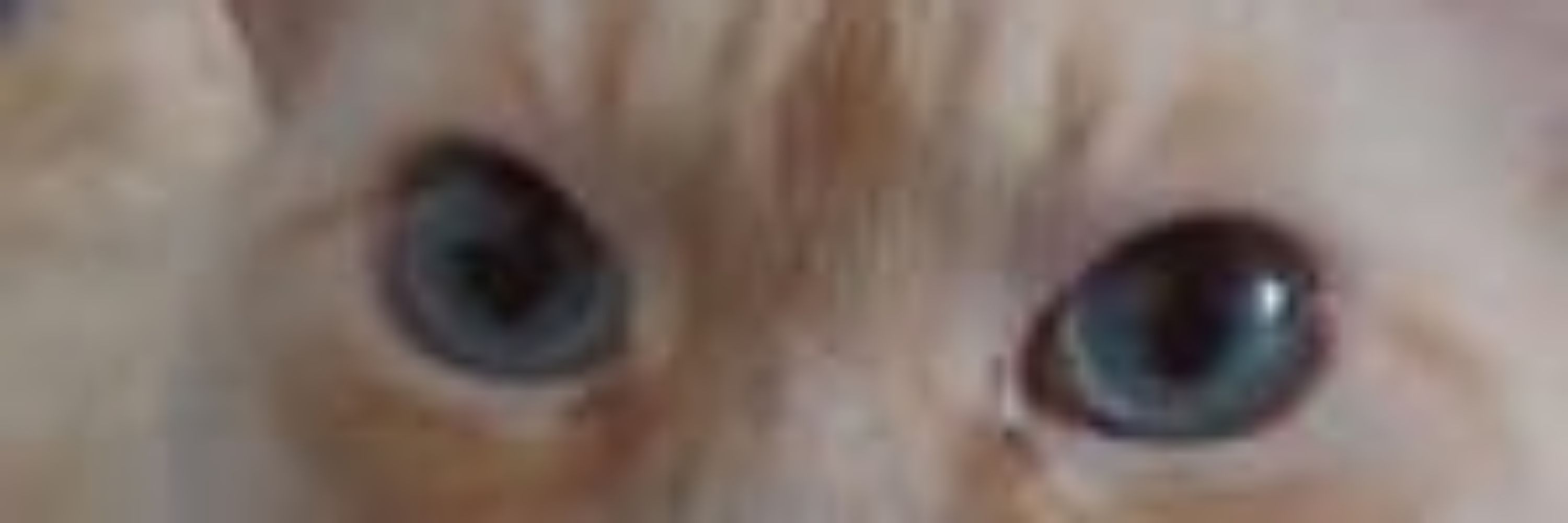 Fer