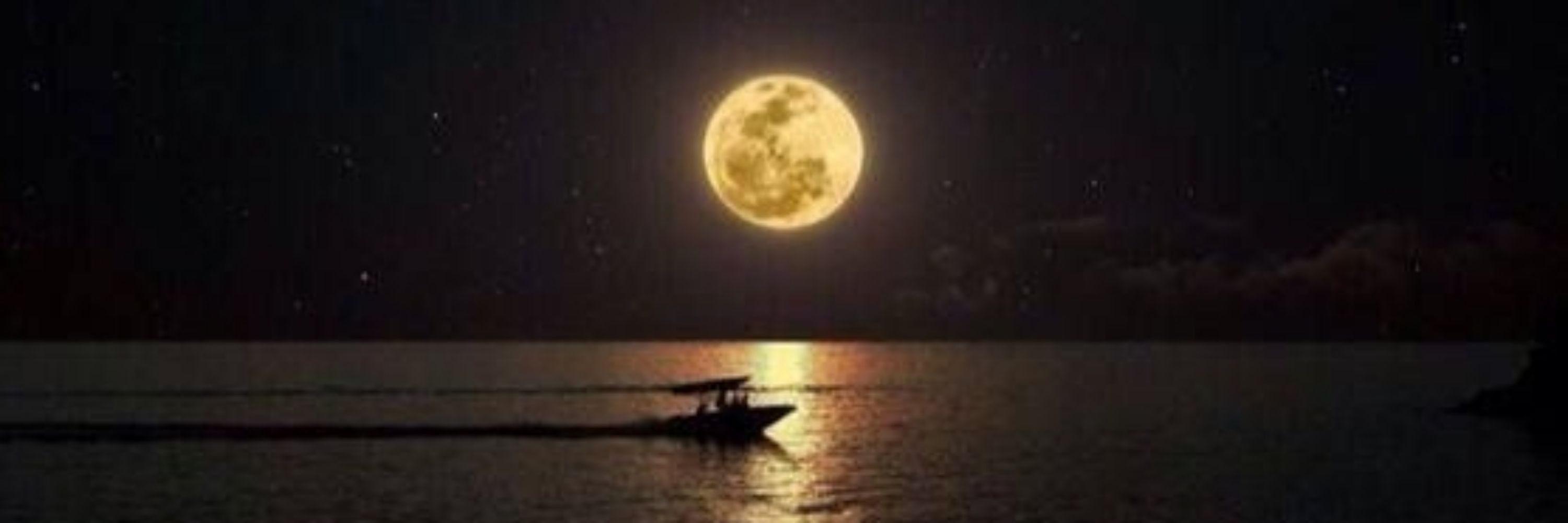 Moonshine Bootlegger