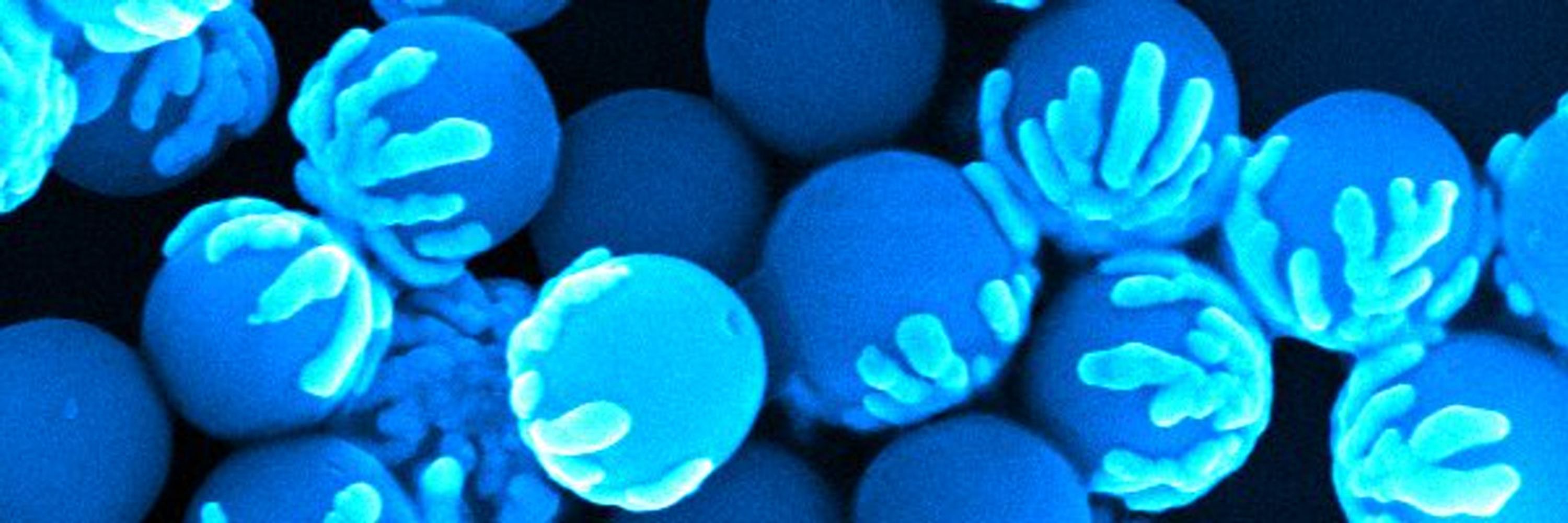 Nanostructured Particles @ FAU Erlangen-Nürnberg