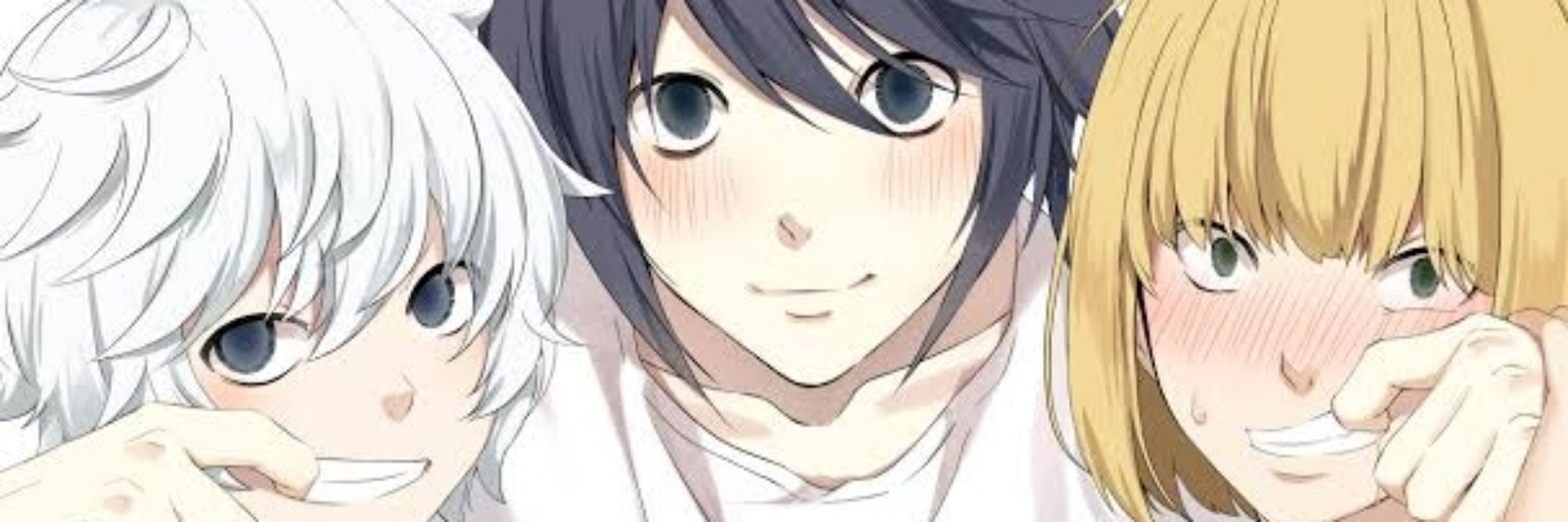 Blanc 333 